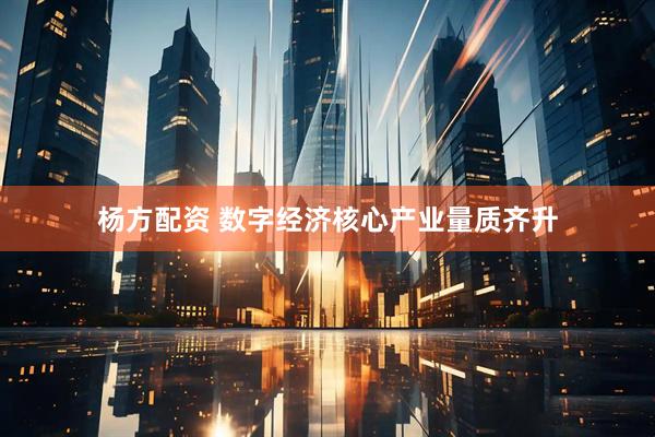 杨方配资 数字经济核心产业量质齐升