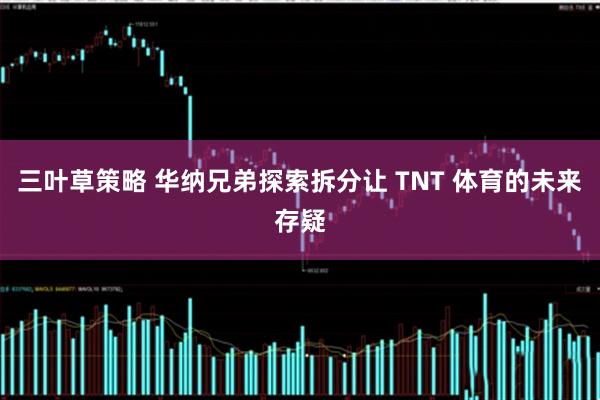 三叶草策略 华纳兄弟探索拆分让 TNT 体育的未来存疑