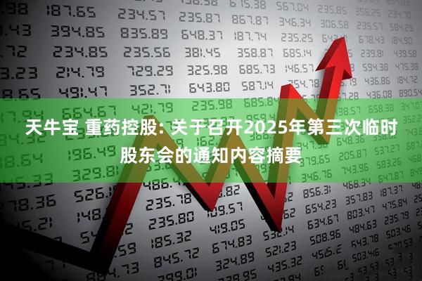 天牛宝 重药控股: 关于召开2025年第三次临时股东会的通知内容摘要