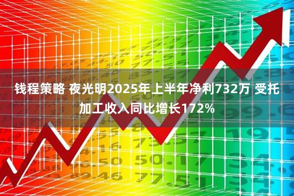 钱程策略 夜光明2025年上半年净利732万 受托加工收入同比增长172%