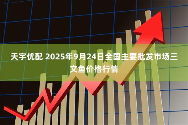 天宇优配 2025年9月24日全国主要批发市场三文鱼价格行情