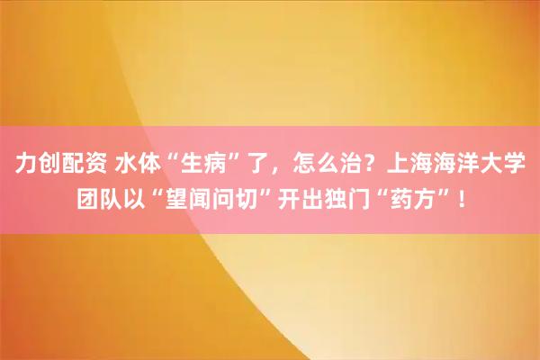 力创配资 水体“生病”了,怎么治?上海海洋大学团队以“望闻问切”开出独门“药方”!