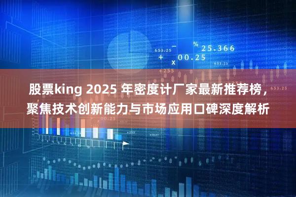 股票king 2025 年密度计厂家最新推荐榜,聚焦技术创新能力与市场应用口碑深度解析
