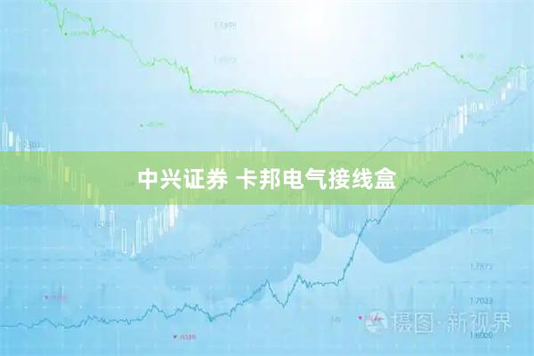 中兴证券 卡邦电气接线盒