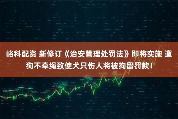 峪科配资 新修订《治安管理处罚法》即将实施 遛狗不牵绳致使犬只伤人将被拘留罚款!